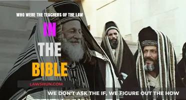 Biblical Teachers of the Law: Their Role and Significance Explored