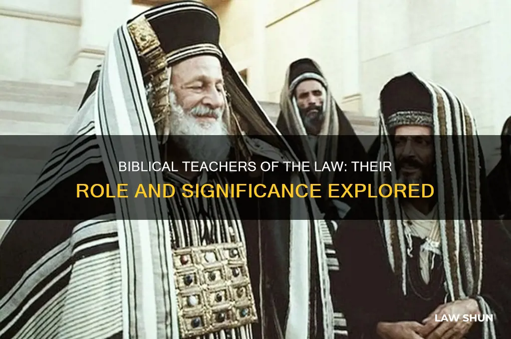 who were the teachers of the law in the bible