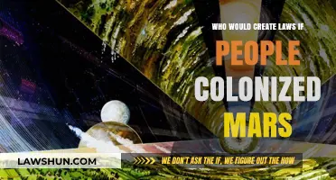 The Red Planet's Legal System: Who Decides?