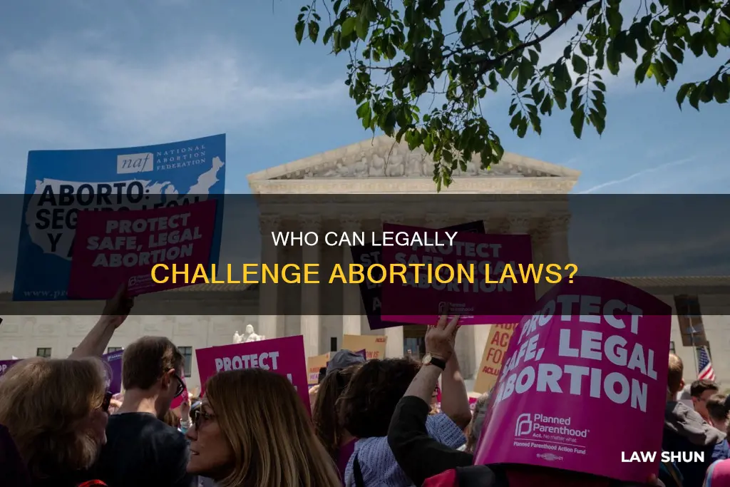 who would have standing to challenge law guaranteeing abortion