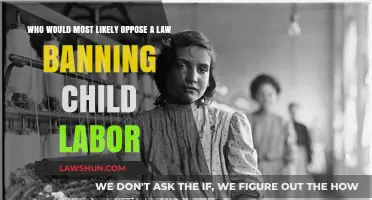 Child Labor Ban: Who Would Oppose and Why?