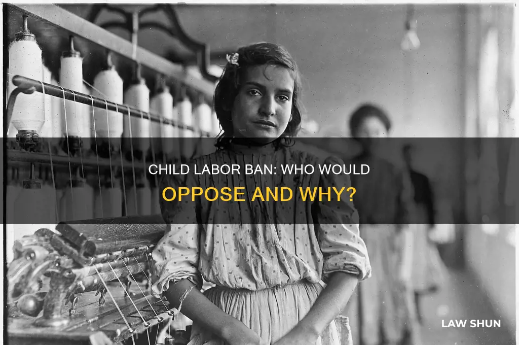 who would most likely oppose a law banning child labor