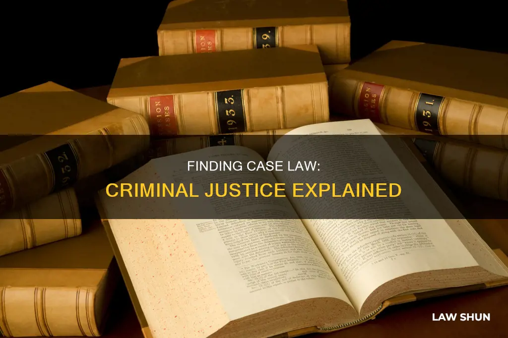 who would one constant to find case law criminal justice
