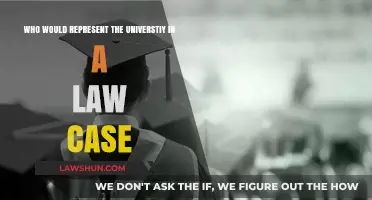 University Representation in Law Cases