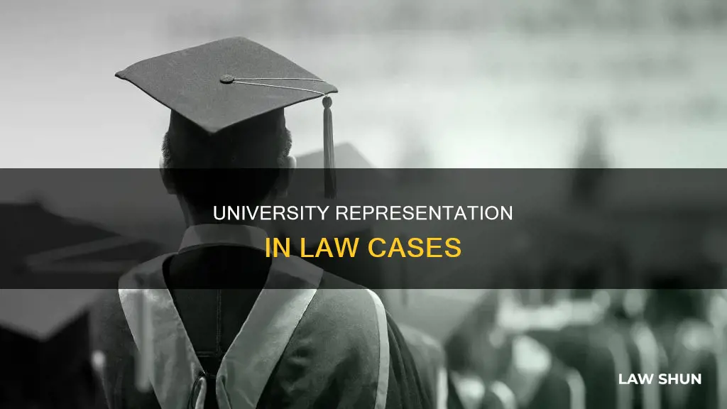 who would represent the universtiy in a law case