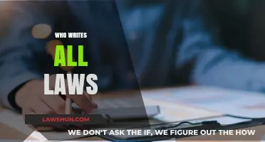 Who Writes Our Laws? Unveiling the Process Behind Legislation