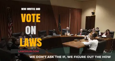 Understanding Lawmakers: Who Writes and Votes on Our Laws?