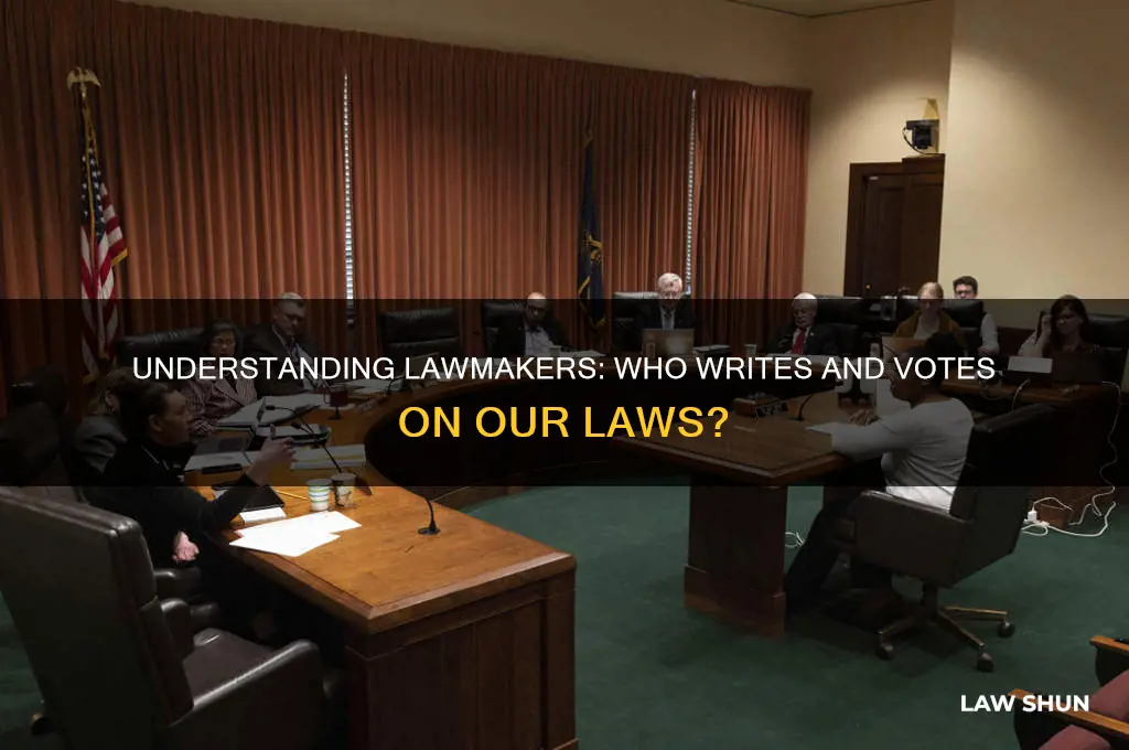 who writes and vote on laws