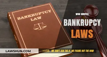 Who Crafts Bankruptcy Laws? Understanding the Legal Process and Creators