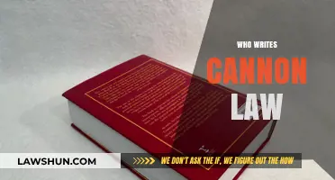 Who Crafts Canon Law: Authors, Authorities, and Their Influence