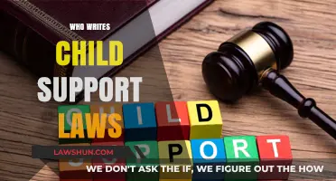 Understanding Child Support Legislation: Who Drafts the Laws and Why?