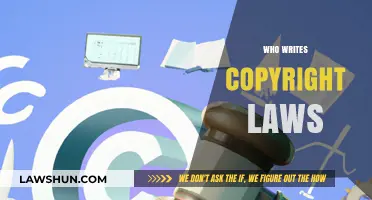 Who Crafts Copyright Laws? Unveiling the Legal Architects Behind Protection