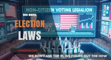Who Writes Election Laws? Understanding the Legislative Process Behind Voting Rules