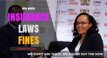 Who Writes Insurance Laws and Fines: Understanding Regulatory Authorities