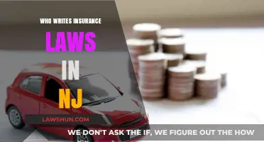 Understanding New Jersey's Insurance Legislation: Who Crafts the Rules?