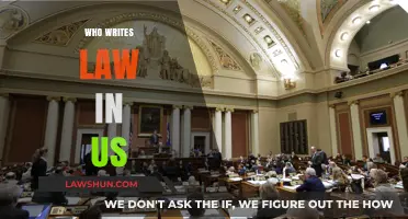 Who Crafts U.S. Laws: Understanding the Legislative Process