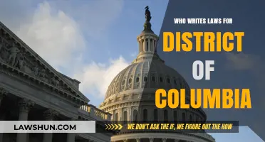 Who Crafts D.C.'s Laws? Understanding the District's Legislative Process