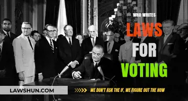Who Crafts Voting Laws? Understanding the Legislative Process Behind Elections