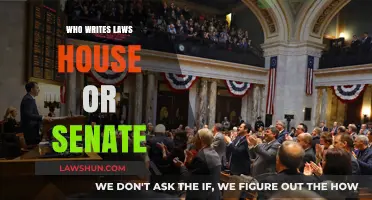 House vs. Senate: Who Writes Laws in Congress?