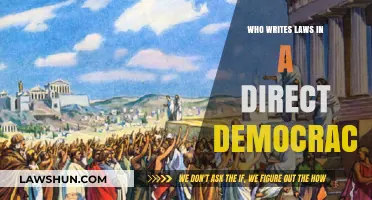 Direct Democracy Explained: Who Crafts the Laws in a Citizen-Led System?