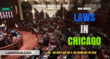 Who Crafts Chicago's Laws? Understanding the City's Legislative Process
