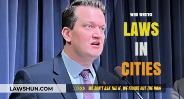 Who Crafts City Laws? Understanding Urban Legislation and Its Creators