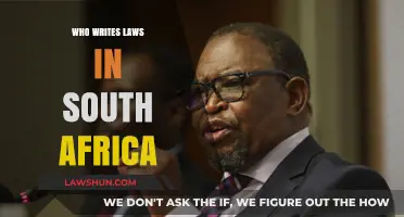 Understanding South Africa's Lawmakers: Who Writes the Country's Laws?