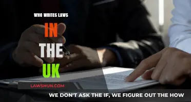 Who Writes UK Laws? Understanding the Legislative Process in Britain