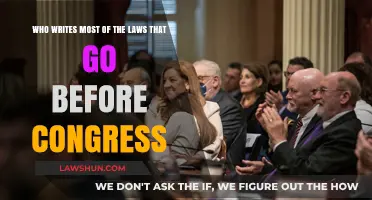 Who Crafts Legislation: Unveiling the Authors Behind Congressional Bills