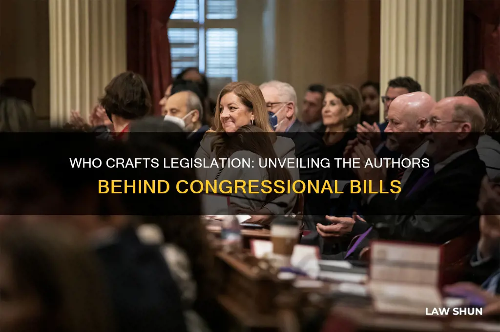 who writes most of the laws that go before congress