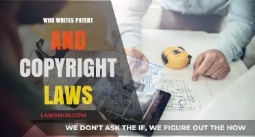 Who Crafts Patent and Copyright Laws: Unveiling the Legal Architects