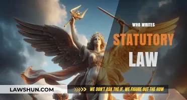 Who Crafts Statutory Law: Understanding the Legislative Process and Key Players