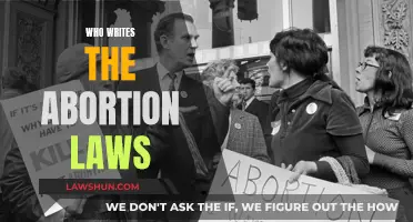 Who Decides Abortion Laws? Lawmakers or Citizens?