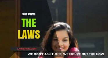 Who Writes the Laws? Unveiling the Legislative Process and Key Players