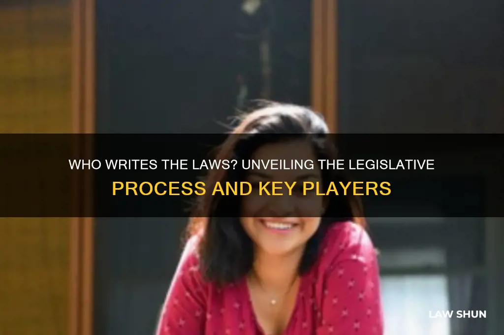 who writes the laws