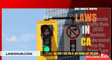 Who Crafts California's Traffic Laws? Understanding the Legislative Process