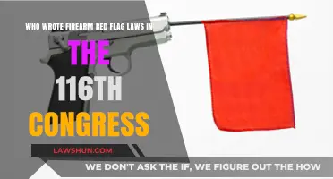 Unveiling the Authors of Firearm Red Flag Laws in the 116th Congress