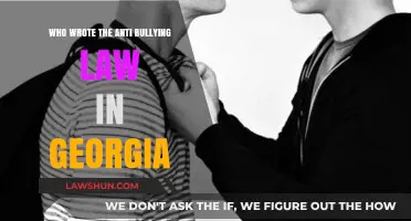Georgia's Anti-Bullying Law: The Author and Its Impact Explained