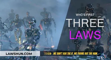 Robots' Laws: Who's in Control?