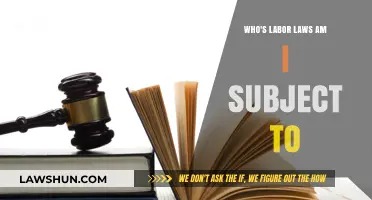 Navigating Labor Laws: Understanding Your Employment Rights Across Jurisdictions