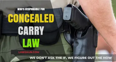 Concealed Carry Laws: Who Bears Responsibility for Implementation and Enforcement?
