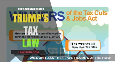 Trump's Tax Law: Who Benefits?
