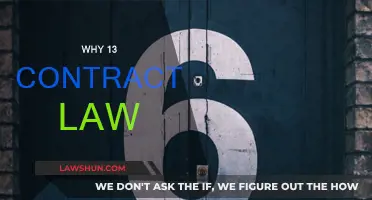 Contract Law: 13 Essential Principles to Know