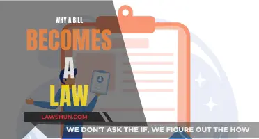 How Laws are Made: Bills to Acts