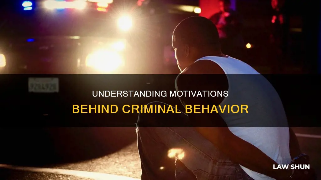 why a person breaks the law