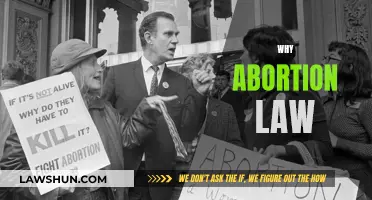 Abortion Law: Understanding the Complexities and Controversies