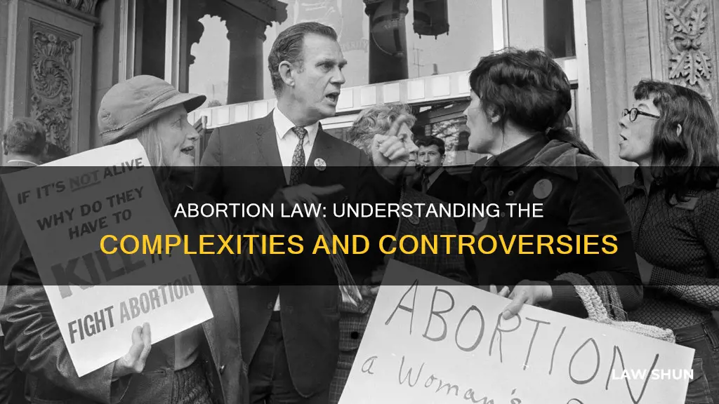 why abortion law