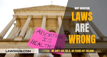 Abortion Laws: Unjust, Unfair, and Unconstitutional