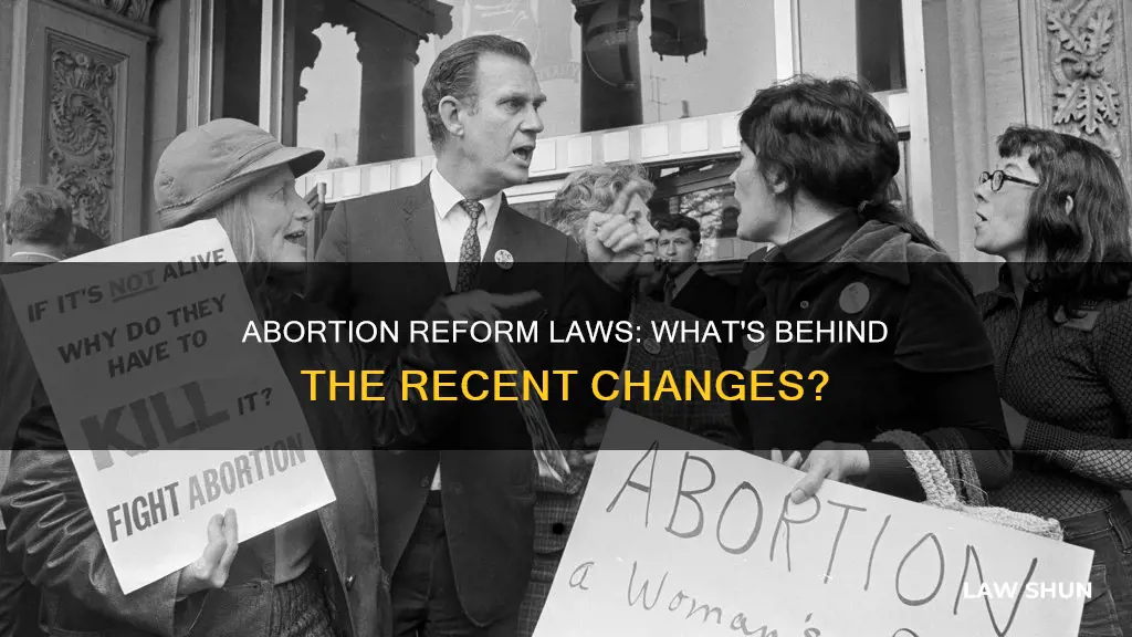 why all the abortion reform laws