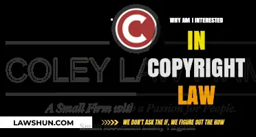 Exploring My Passion for Copyright Law: A Personal Journey